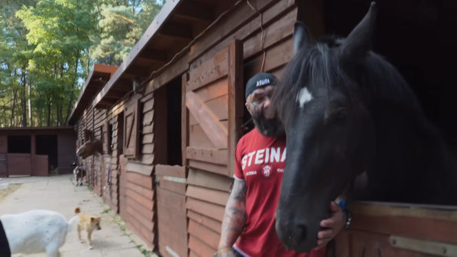 Marcin Różalski ratuje konie