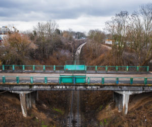 Dzień Kota 2021. Prezydent Płocka: Kot ze starego wiaduktu trafi do Zoo Płock [ZDJĘCIA]