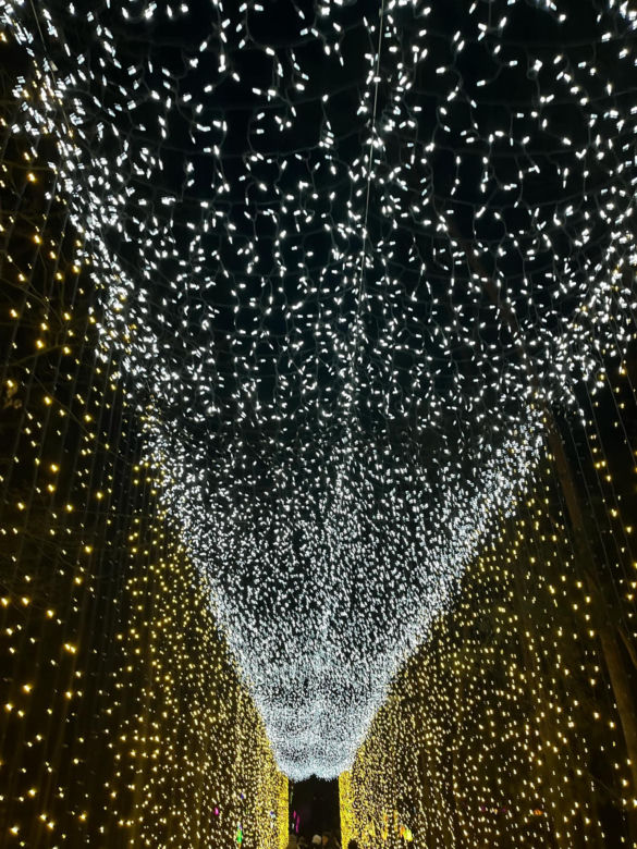 Garden of Lights w Szczecinie