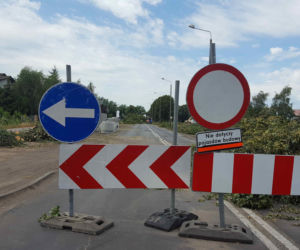 Były starsze od niejednego mieszkańca Leszna.  Z ul. Szybowników znikają dorodne lipy