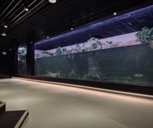 Egzotarium w Sosnowcu