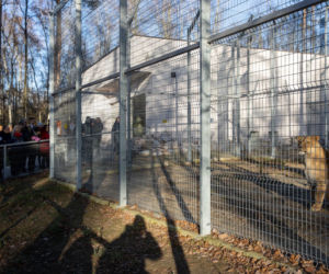 Posłanki i posłowie z wizytą w Zoo