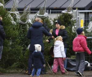 Premier Donald Tusk ma gest? Kupił dwie choinki i odmówił reszty