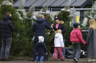 Premier Donald Tusk ma gest? Kupił dwie choinki i odmówił reszty
