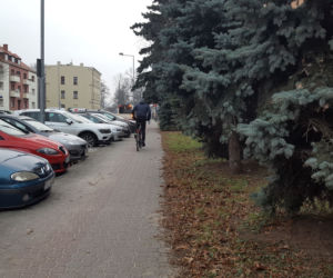 Budują ściężkę rowerową przy ul. Dąbrowskiego w Lesznie