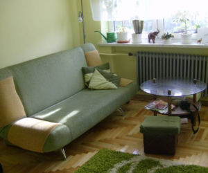 Zdjęcie 2500