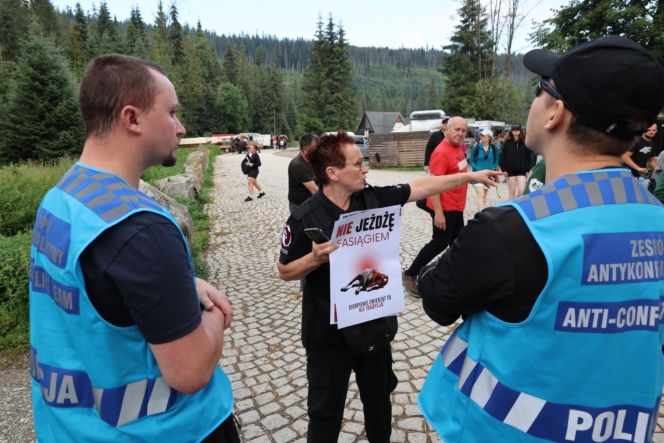 Protesty przeciwko konnemu transportowi nad Morskim Okiem