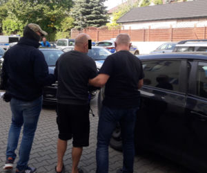 Hodowca kotów poszukiwany listem gończym 