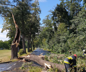 Straszna wichura przeszła przez Dolny Śląsk. Wciąż wieje!