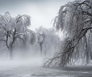 Zgierz pod lodowym atakiem 20.11.2025. Czy miasto przetrwa MROŹNY SZOK?