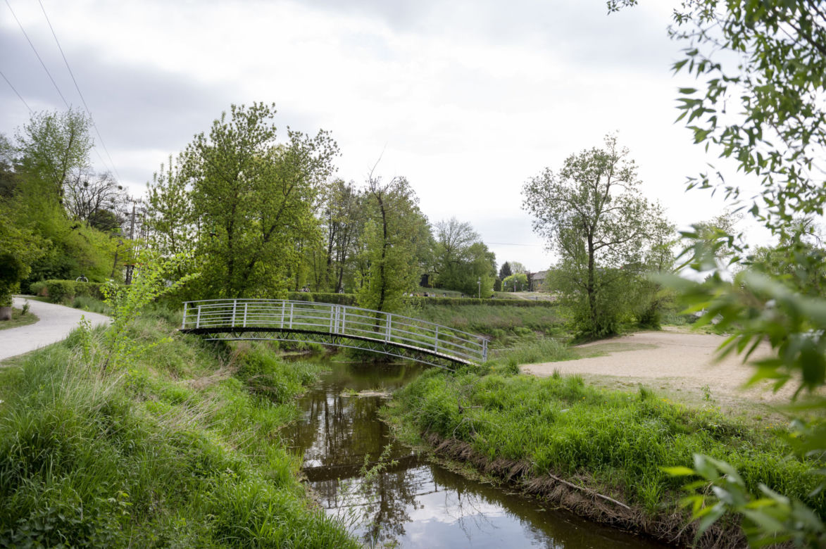 Park Dolina Wkry w Pomiechówku - spacer w koronach drzew, place zabaw, plaża