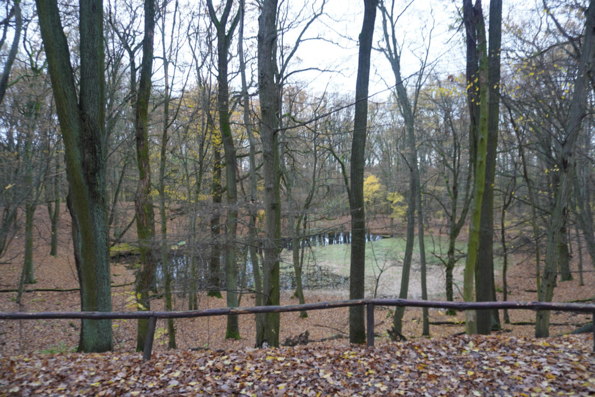 Rezerwat przyrody Meteoryt Morasko