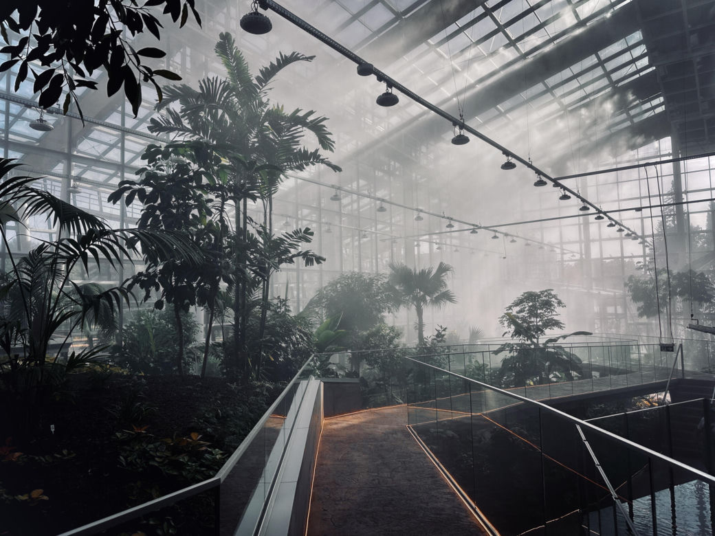 Nowe Egzotarium w Sosnowcu