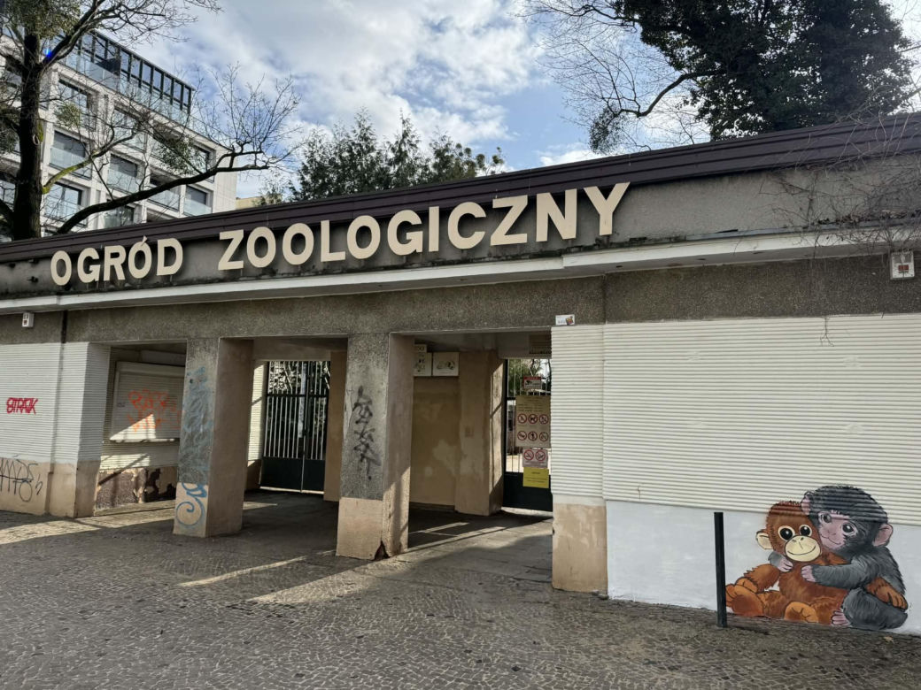 Artysta namalował mural z małpką Punch i wpadł w kłopoty! Zaskakujący finał