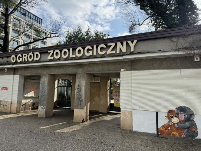 Artysta namalował mural z małpką Punch i wpadł w kłopoty! Zaskakujący finał