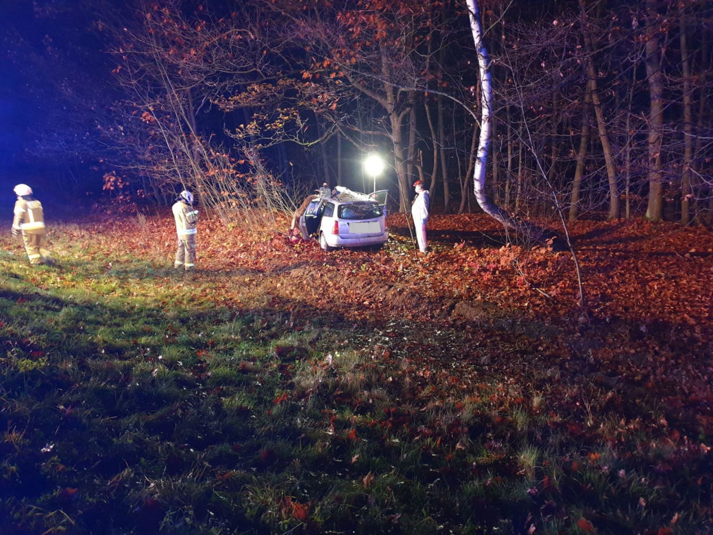 Niepołomice. WYPADEK na DK 75! Jedna osoba w szpitalu po zderzeniu z jeleniem