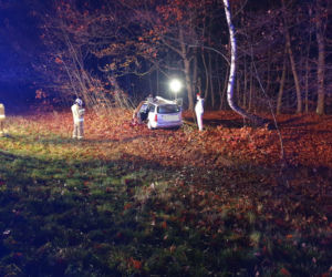 Niepołomice. WYPADEK na DK 75! Jedna osoba w szpitalu po zderzeniu z jeleniem