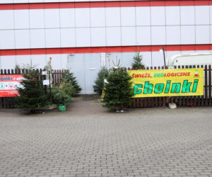Pijany sprzedawca choinek podpalił mercedesa