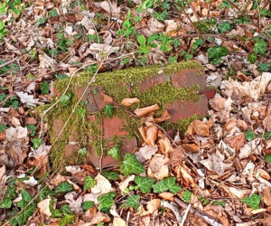 Wieża Baresela nad Jeziorem Szmaragdowym