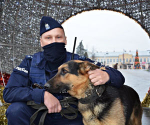 Szarik - nowy policyjny pies w Komendzie Miejskiej Policji w Suwałkach [ZDJĘCIA]