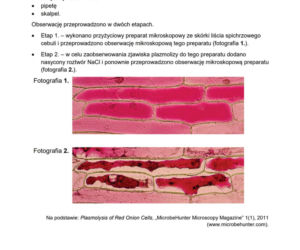 Matura próbna 2026 - biologia. Wszystkie odpowiedzi do arkusza CKE z biologii 14.01.2026