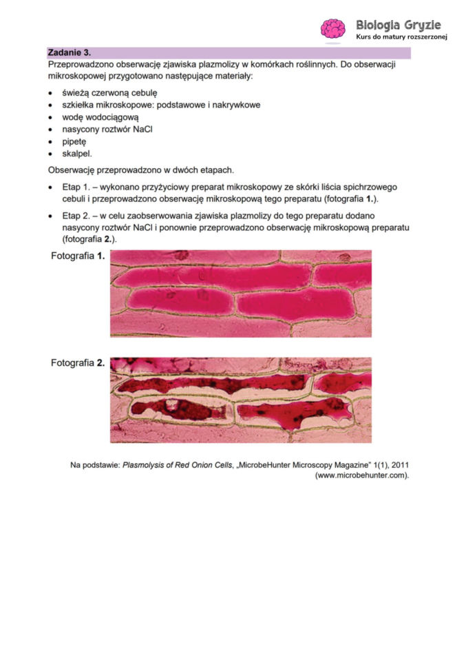 Matura próbna 2026 - biologia. Wszystkie odpowiedzi do arkusza CKE z biologii 14.01.2026