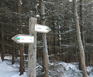 Zimowa wyprawa na Trójgarb