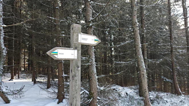 Zimowa wyprawa na Trójgarb