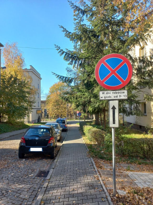 Tak parkują "miszczowie parkowania" z Katowic. Strażnicy miejscy rozkładają ręce 