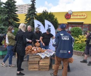 Nietypowy protest Agrounii. Rolnicy rozdawali ziemniaki w Toruniu