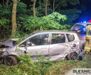 Śmiertelny wypadek pod Oleśnicą