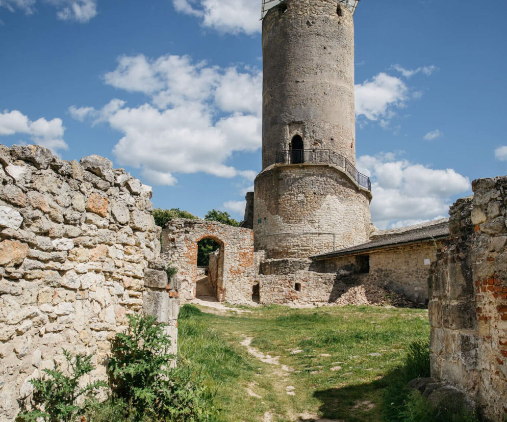Zamek w Iłży