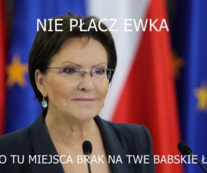 Powyborcze memy
