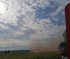 Drzewo przygniotło mężczyznę podczas prac leśnych!