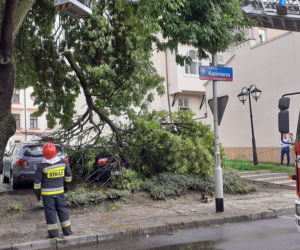 Skutki burzy w Rzeszowie