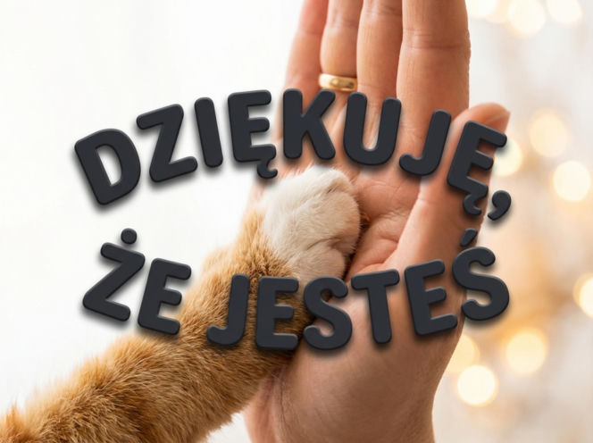 Piękne kartki na Walentynki dla Niego i dla Niej