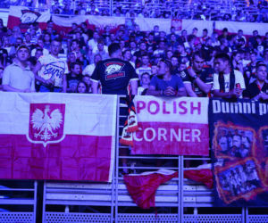 esport - Virtus.pro.