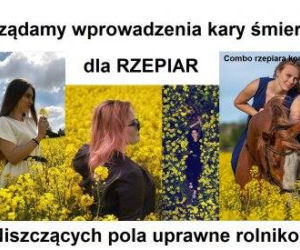 Rzepiara robi furorę w internecie [MEMY]
