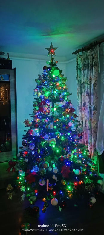 Choinki naszych Czytelników. Taki klimat tylko w woj. lubelskim!