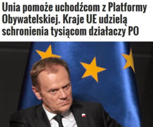 Internet śmieje się w wyborów