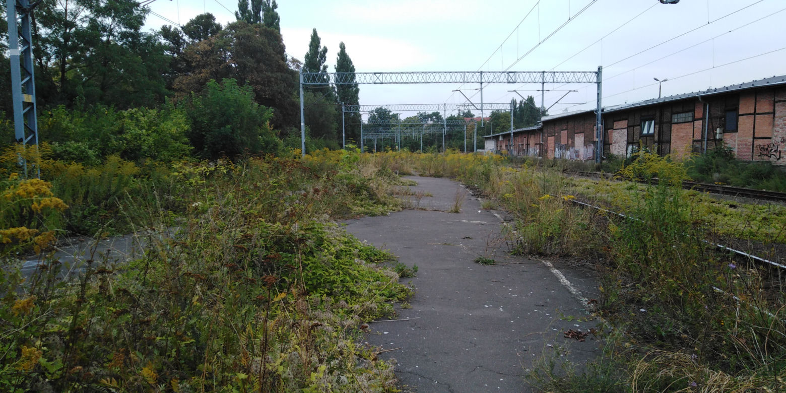 Stacja Szczecin Turzyn