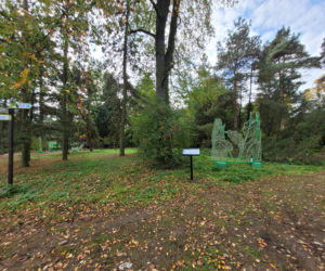 Poznański park iluminacji Magiczny Las