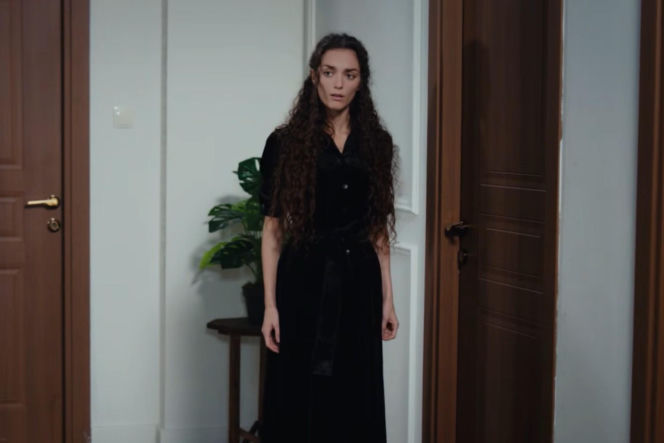 Dziedzictwo odcinek 896