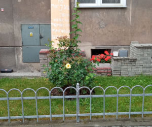 Nowohucianie walczą o ogródki przed blokami