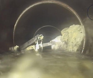 Gruz, tłuszcz, a nawet...drabina! To wszystko znalazło się w kanalizacji. 