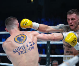 Kalinowski - Stępień