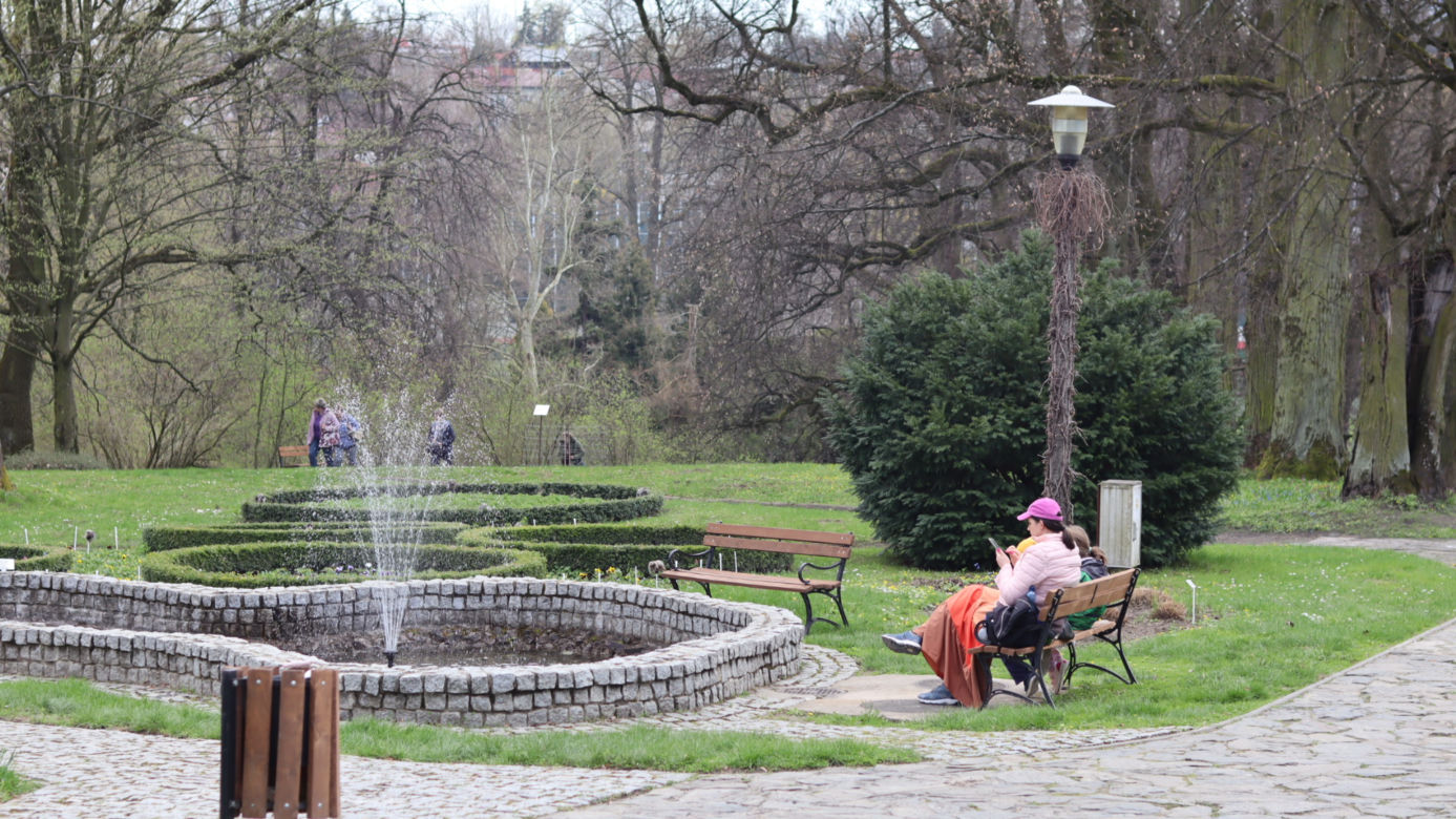 Ogród Botaniczny w Lublinie otwarty! Wszędzie widać wiosnę