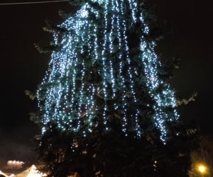 Siedleckie iluminacje 2025