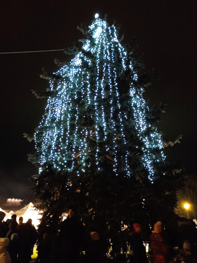 Siedleckie iluminacje 2025