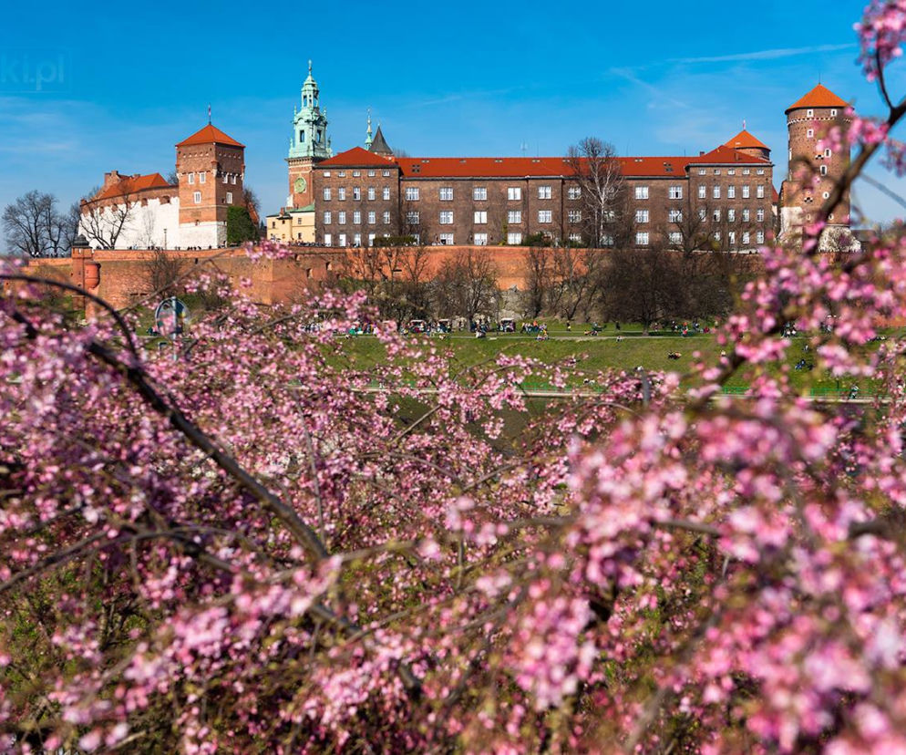Kraków - zdjęcie dnia
